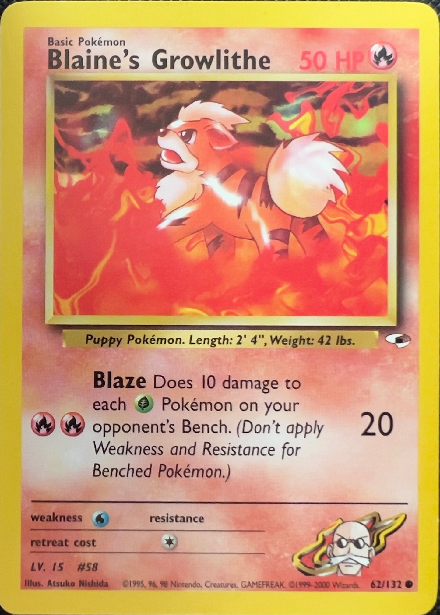 Blaine’s Growlithe (non-holo) 62/132 - Pokémon Gym Heroes (WOTC)