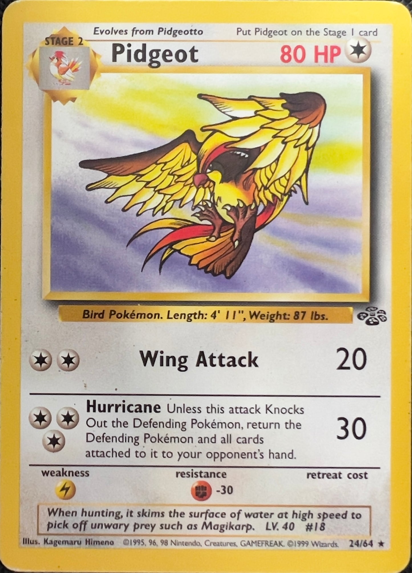 Pidgeot (non-holo) 24/64 - Pokémon Jungle (WOTC)
